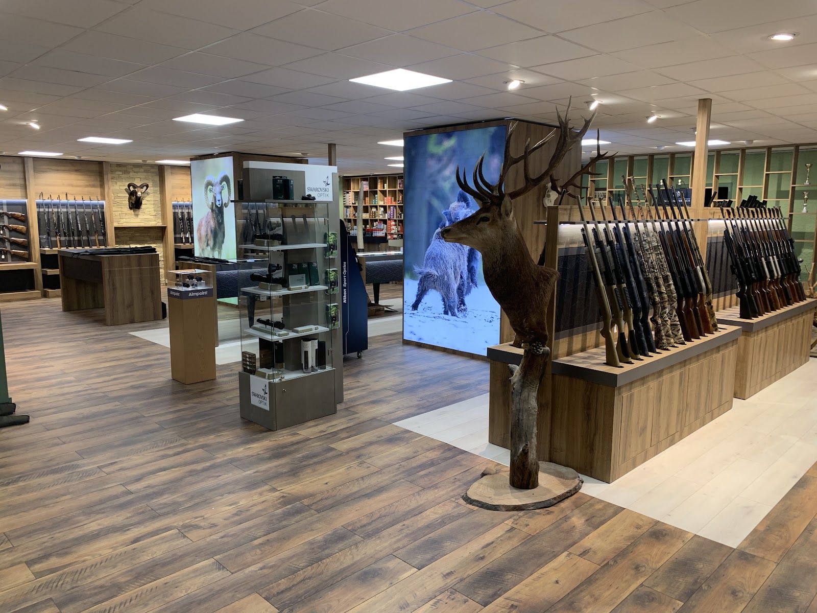 Showroom de l'armurerie — vitrines et présentoirs d'armes